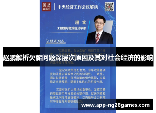 赵鹏解析欠薪问题深层次原因及其对社会经济的影响